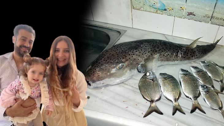 Ziyafet zehir oldu! Entübe edilen dede balon balığının ciğerini yemiş