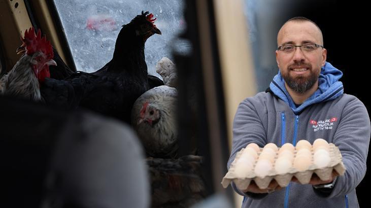 Yumurtaların kalitesi artınca, ilginç yönteme başvurdu: Eşim dahi tavuklardan beni kıskanıyor