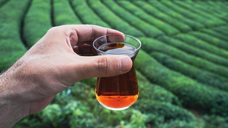 25 milyon 388 bin dolarlık çay ihracatı