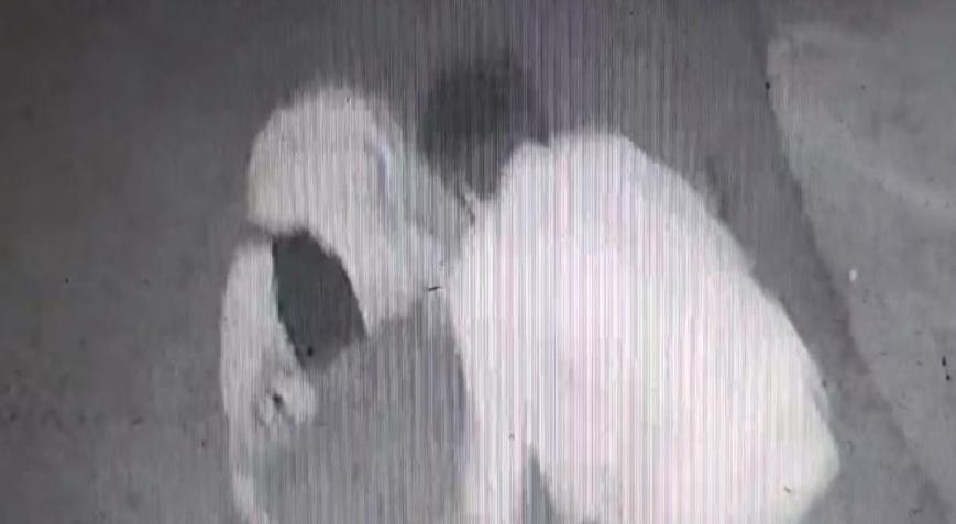 Yer: İzmir! Cinayetin görüntüsü ortaya çıktı
