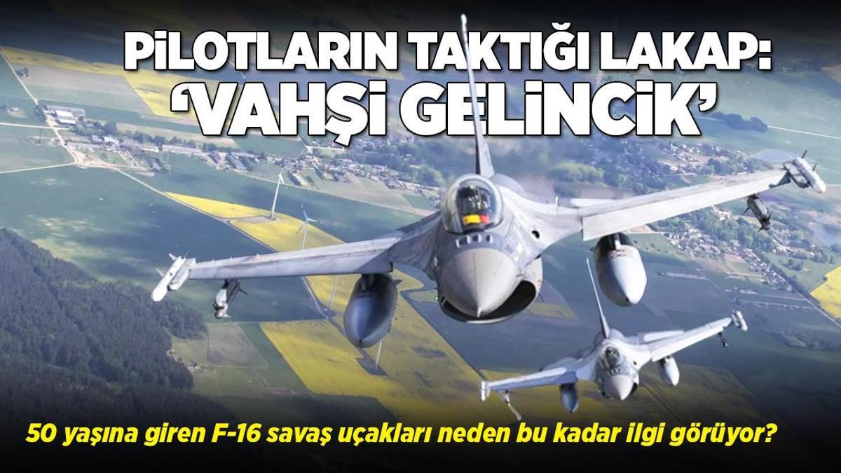 Türkiye’nin satın almaya yaklaştığı F-16’lar: 50 yaşına giren savaş uçağı neden hala bu kadar ilgi görüyor?
