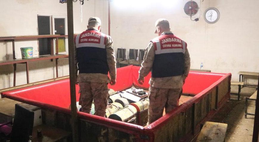 Horoz dövüşüne şok baskın! 10 horoza el konuldu