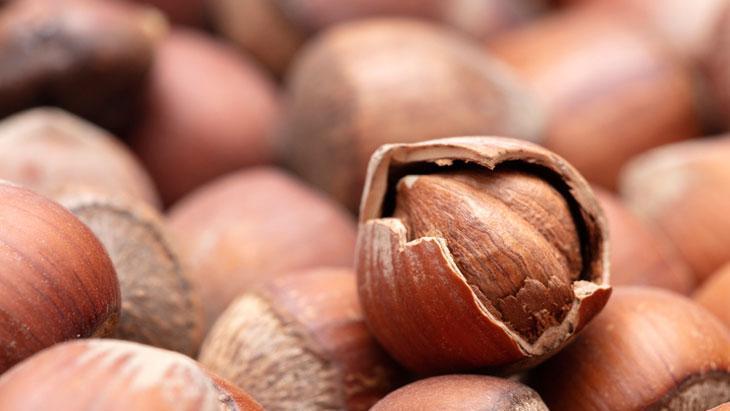 Fındık fiyatındaki dalgalanmadan üretici de tüccar da memnun değil