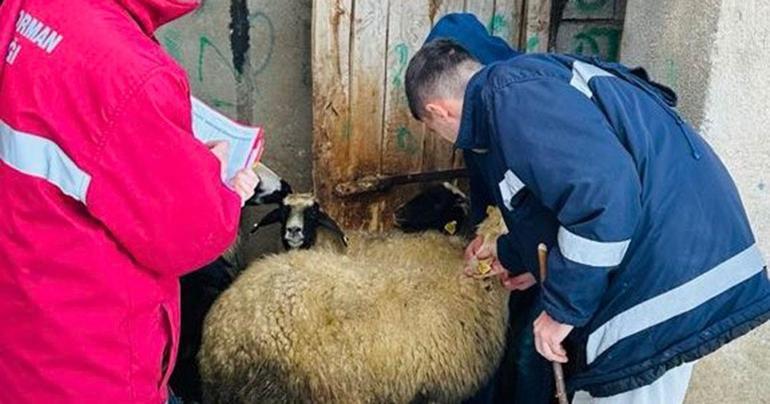 Bakan Yumaklı: Olumsuz hava koşullarına rağmen denetimler aralıksız sürüyor