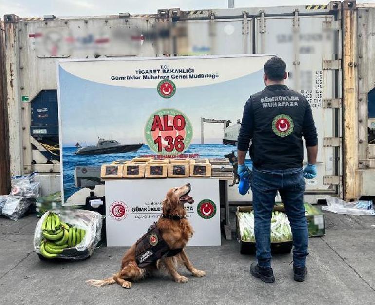 Mersin Limanı'nda operasyon: 77 kilo kokain ele geçirildi