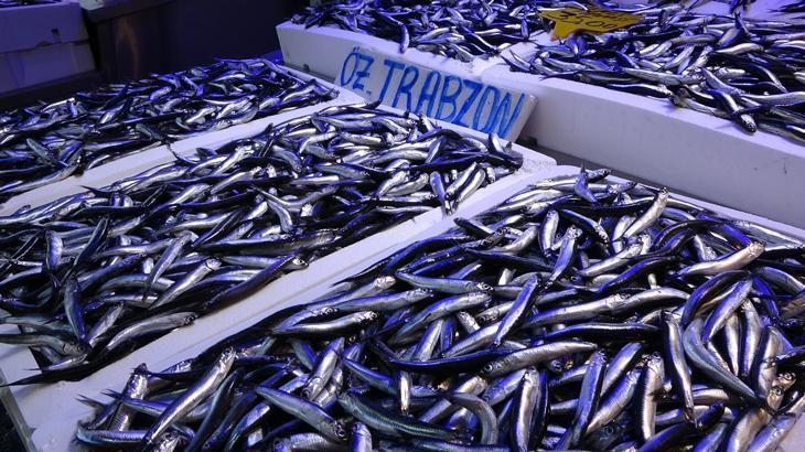 Hamsi bolluğu ihracat rakamlarına yansıdı