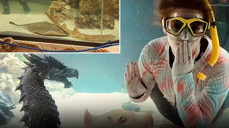 Tek başına üremeyi başardı! Bilim dünyası şaşkın, tarihte bir ilk