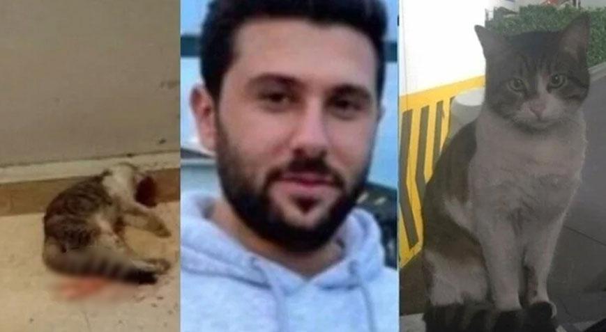 ‘Eros’un katilinin tutuklanması için 250 bin imza