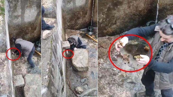 Profesör kendisine bildirilen konuma koştu: 450 bireyi kurtarmış olduk