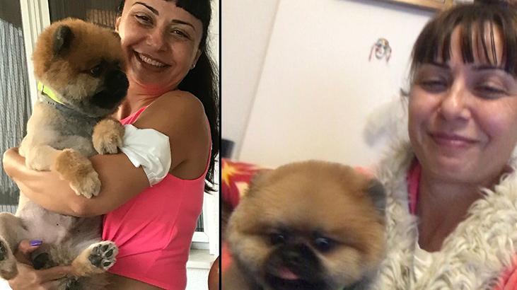 ‘Paylaşılamayan köpek’ davasında emsal karar: Manevi tazminat ödeyebilir