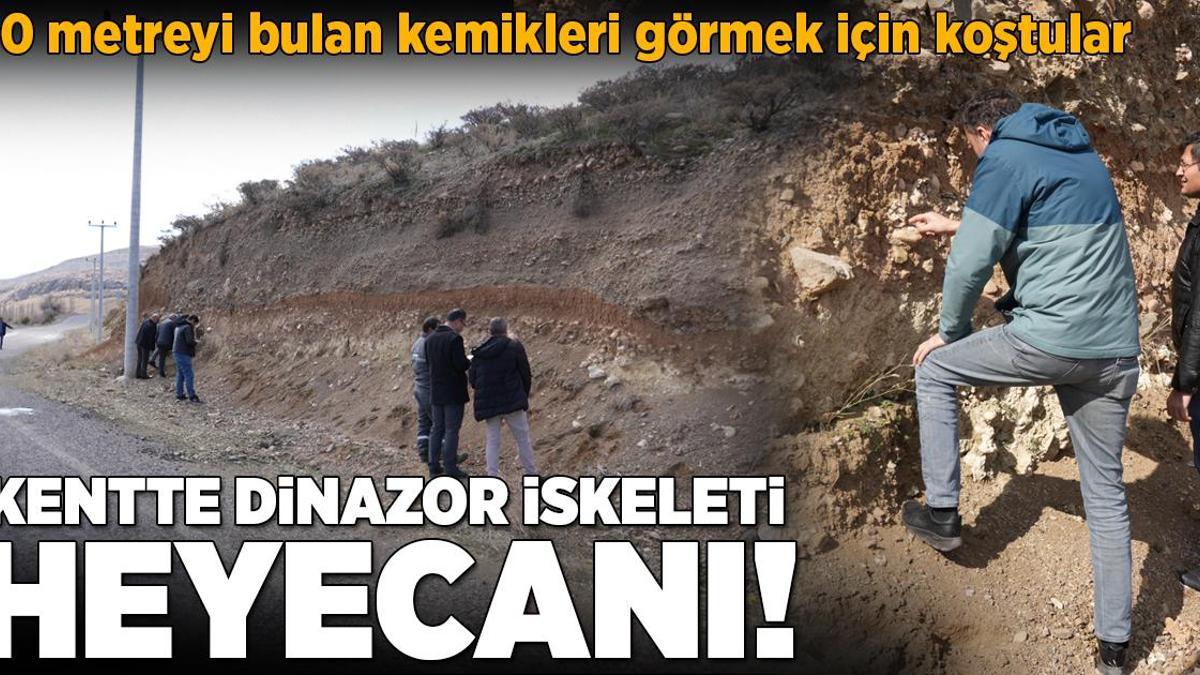 20 metreyi bulan kemikler merak konusu oldu! Kentte dinazor iskeleti heyecanı