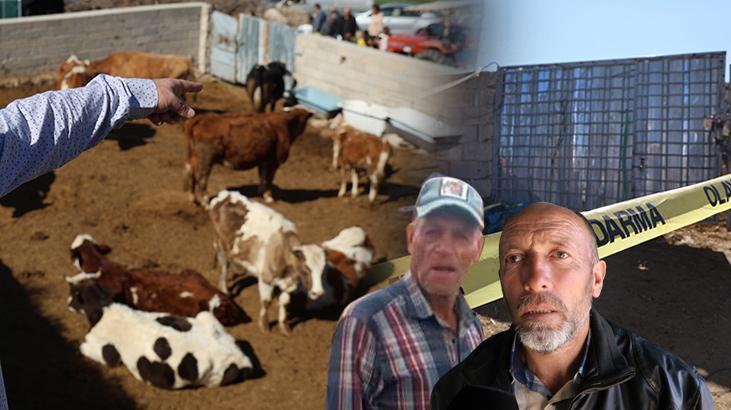 Boğa saldırısından oğlunu kurtardı, kendi feci şekilde can verdi: Kırılmayan kemiği kalmamış