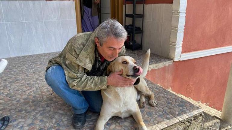 Görenleri şaşırtan manzara! Adrenalin tutkunu köpek olarak tanınıyor