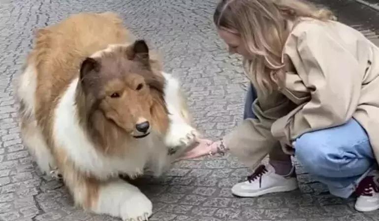 İnsanken köpeğe dönüştü! Artık pati verip, yerde yuvarlanıyor