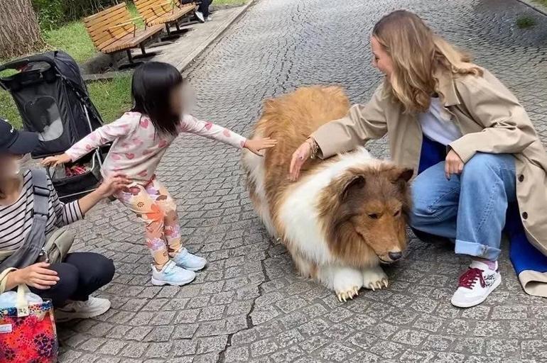 İnsanken köpeğe dönüştü! Artık pati verip, yerde yuvarlanıyor