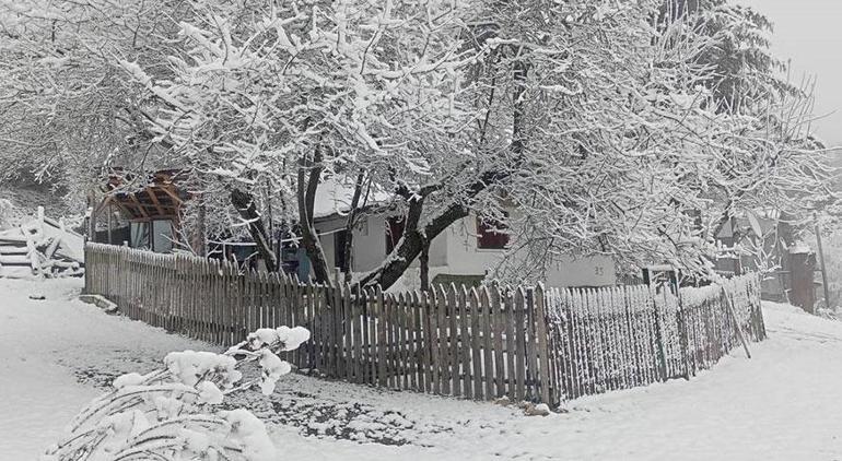 Bolu beyaza büründü! Kar kalınlığı 10 santimetreye ulaştı