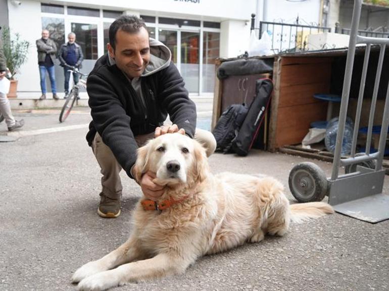 Köpek havladı, 700 bin TL'si gitti: Benimle alakası yok, başıma gelmeyen kalmadı