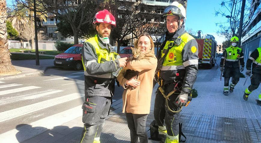 Kedinin mucize kurtuluşu! Küle dönen apartmandan 1 hafta sonra sağ çıktı