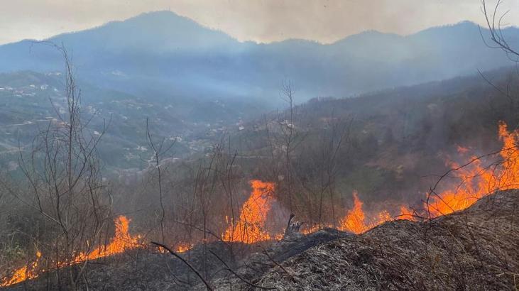Artvin’de orman yangını! 1 hektarlık alan kullanılamaz hale geldi