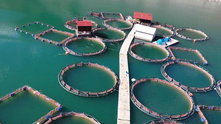 Bakan Yumaklı: 785 milyon euro hibe desteği kullandıracağız