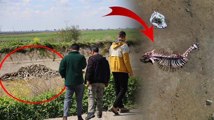 Su kanalında korkunç manzara, geriye kemikleri kaldı: Bunu her zaman yaşıyoruz