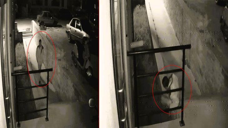 Üniversite öğrencisine röntgenci şoku! Her gece pencereden genç kızı izledi