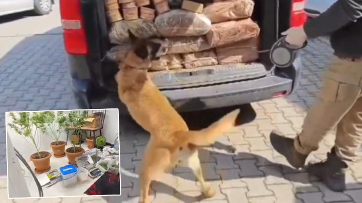 Uyuşturucu satıcılarına geçit yok! 434 kişi yakalandı