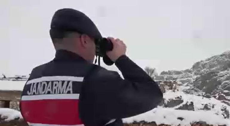 44 yıl önce terkedilen köye musallat oldular! Ekipler alarma geçti