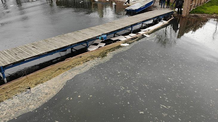 Milyonların içme suyu olan Sapanca Gölü'nde şok! Boru hattı patladı, akaryakıt sızdı