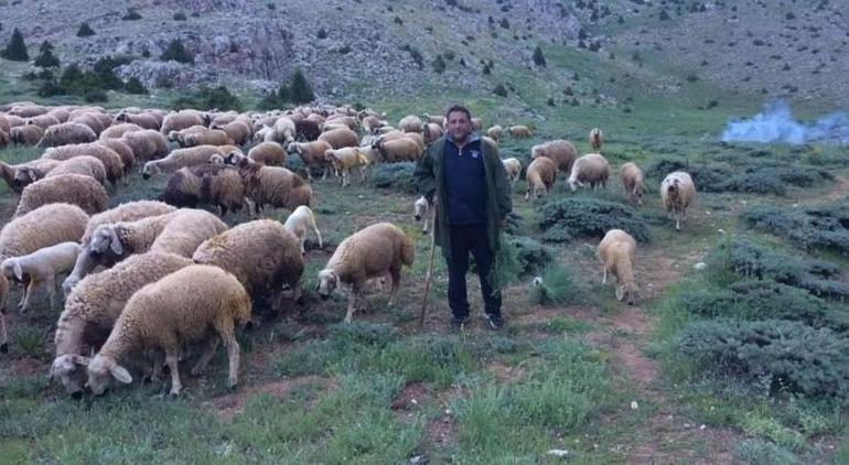 Mesaide müdür, tatilde çoban! Kravatı çıkarıp kepeneğini giyip dağlara çıktı