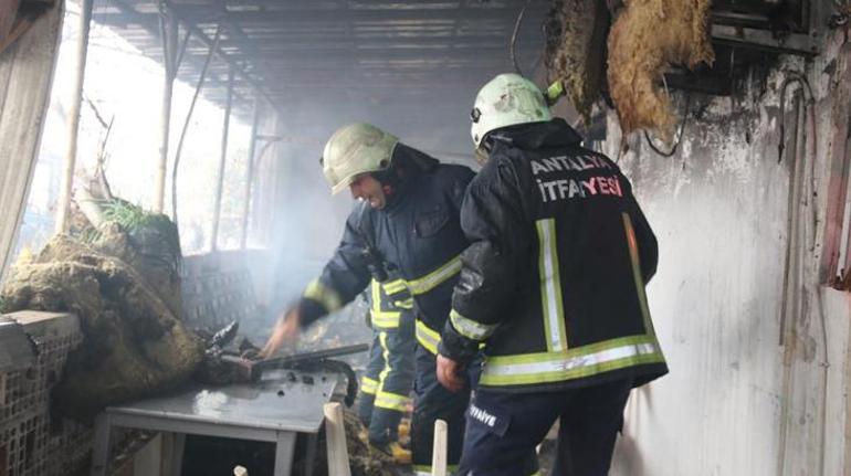 Çocukların tehlikeli oyunu feci yangınla son buldu! Gecekondu ve kamyonet alev alev yandı