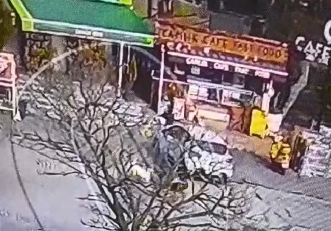 Beylikdüzü'nde pitbull dehşeti kamerada