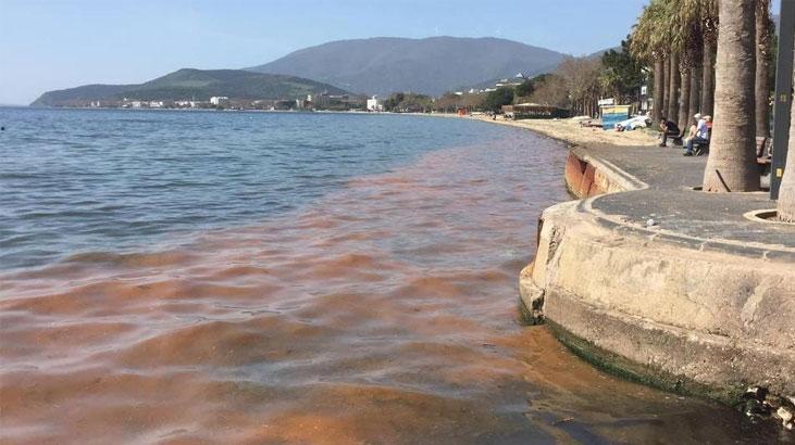 Marmara Denizi alarm veriyor: Müsilaj geri gelecek!