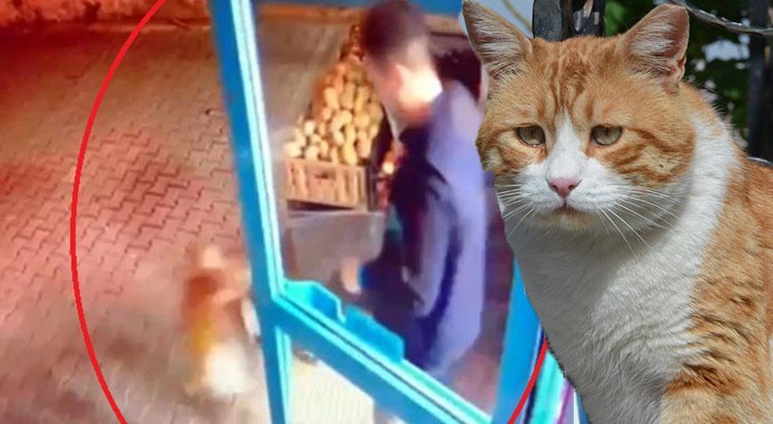 Yer: Ankara! Markete giren kediyi tekmeleyip dışarı attı