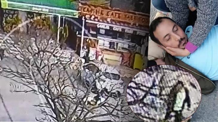 Beylikdüzü’nde pitbull dehşeti kamerada