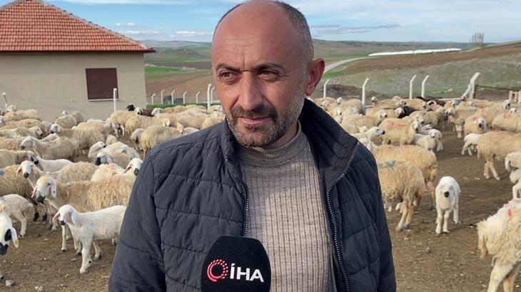 Öğretmenliği bırakıp devlet desteği ile koyun yetiştiriciliğine başladı