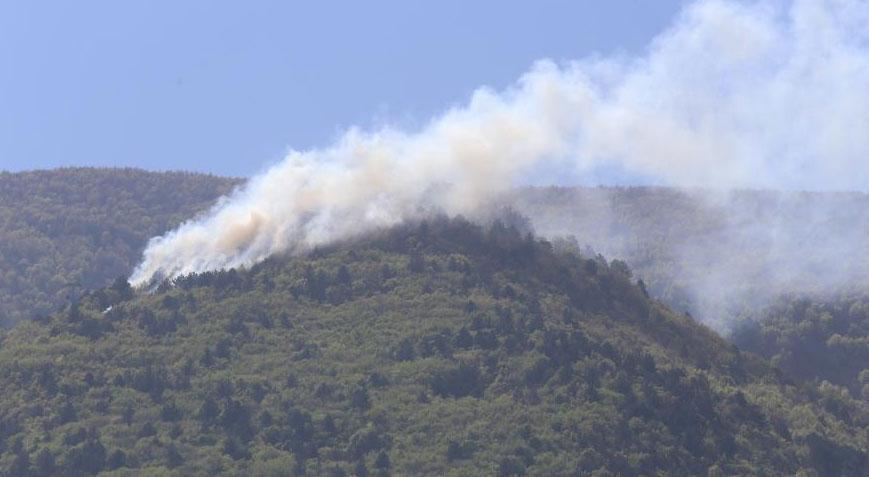 Son dakika… Uludağ eteklerinde yangın! Çok sayıda ekip sevk edildi