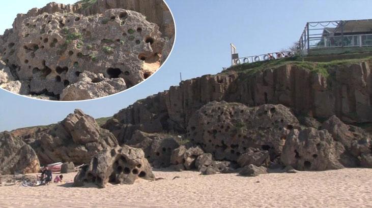 Dünyada sadece 3 yerde var, biri Şile’de!