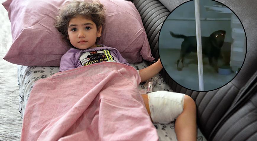 4 yaşındaki Asel annesinin yanında dehşeti yaşadı! ‘Çok korktum, canımı acıttı’