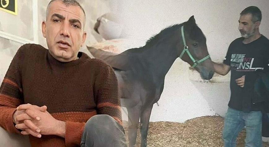 Tek yumrukla hastaneye kaldırılmıştı! Seyisten 97 gün sonra haber geldi