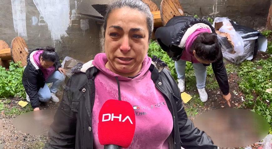 Sultangazi’de vahşet! 3 yavru kedi öldürülmüş halde bulundu