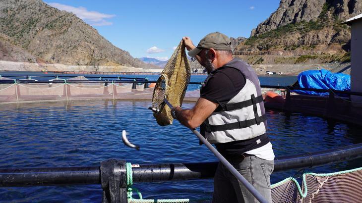 800 bin TL hibe desteği ile iş kurdu! Yurt dışına ihraç ediyor