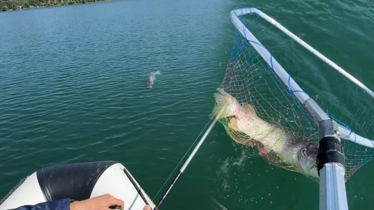 Balıkçılar ne yapacaklarını şaşırdı! ‘Kocaman, bu canavar’