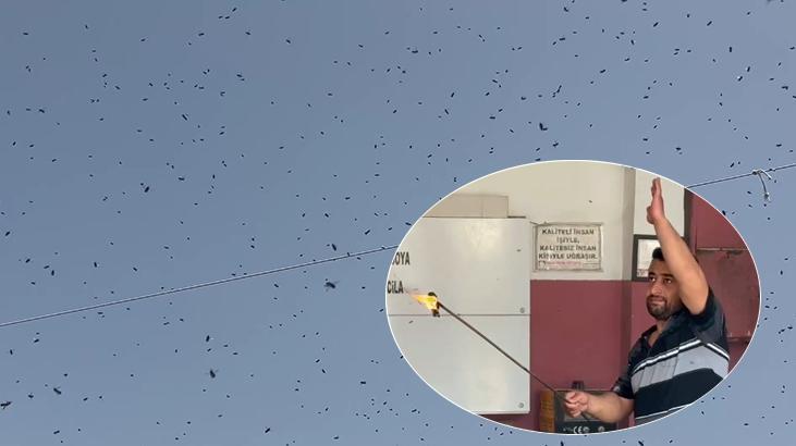 Gökyüzünden bulut gibi indiler: Nereden geliyorlar bilmiyorum