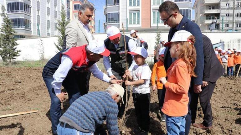 'Okuldaki Çiftlik Projesi' meyvelerini vermeye başladı! Okul bahçesine fidanlar dikildi