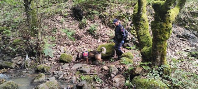 Korhan Berzeg ile ilgili önemli gelişme! Bulunan kemikler Berzeg'in kızıyla eşleşti