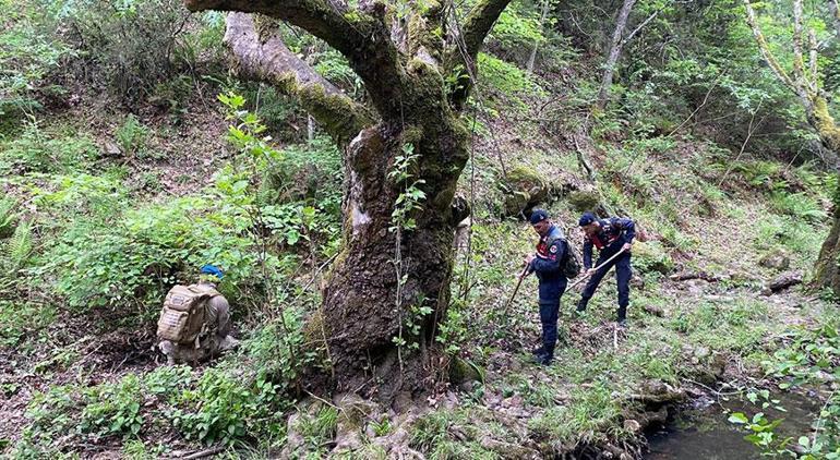 316 gün sonra Korhan Berzeg'in öldüğü kesinleşti! 1 kafatası ve 3 kemik parçası bulundu