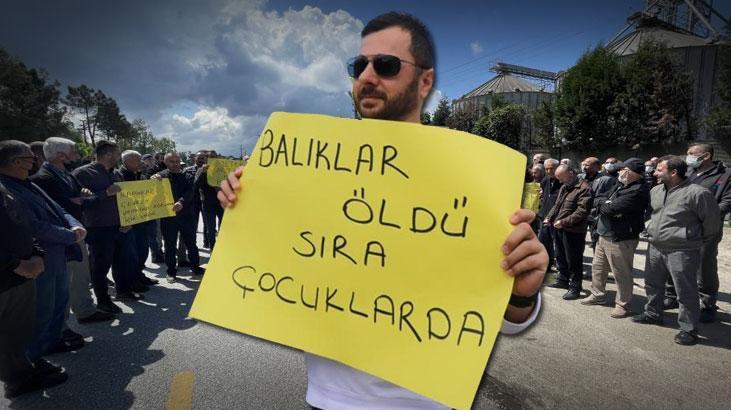 Sakarya’da bir mahalle ayakta: Balıklar öldü, sıra çocuklarda!