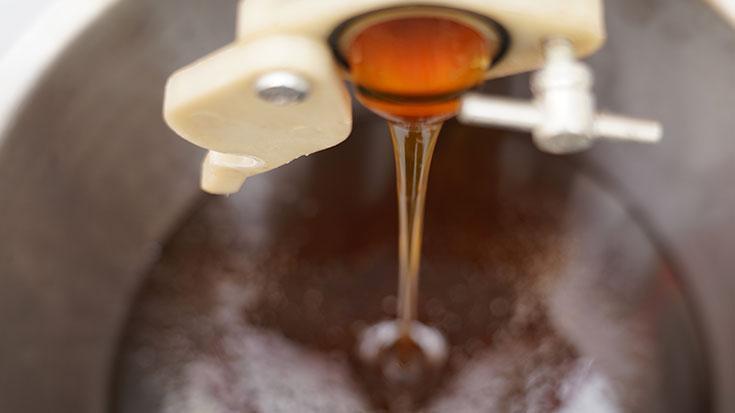 ‘Bir kilogram balın üreticiye maliyeti 200 TL’den aşağı değil’