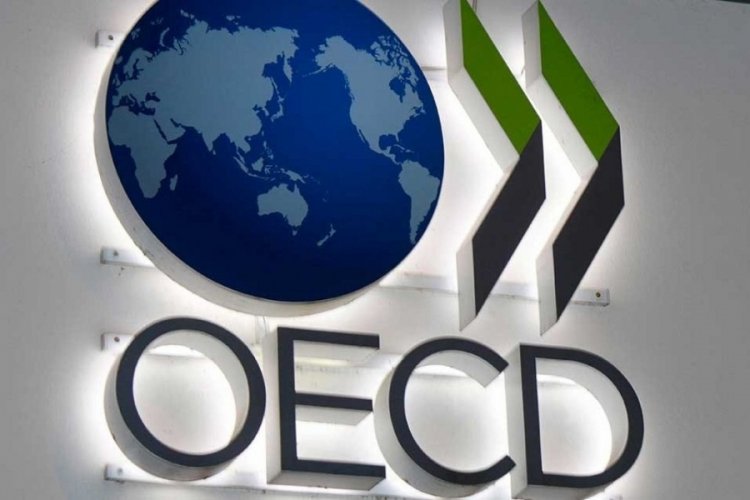 OECD, Türkiye Ekonomisi İçin Yeni Tahminler Paylaştı